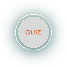 QUIZ BOTON (1) (1)